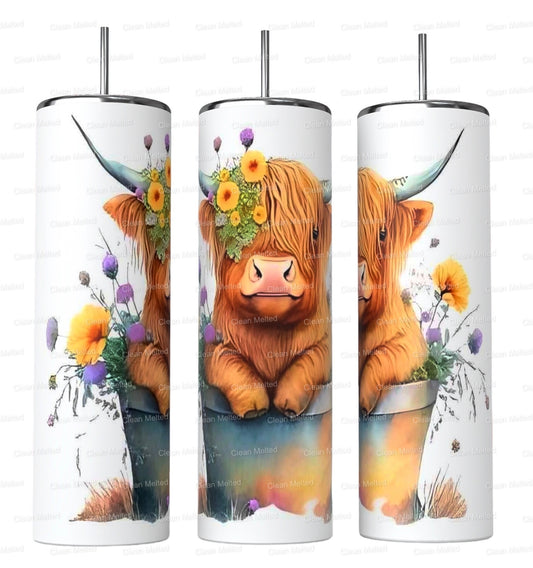 20oz Highland Cow Tumbler