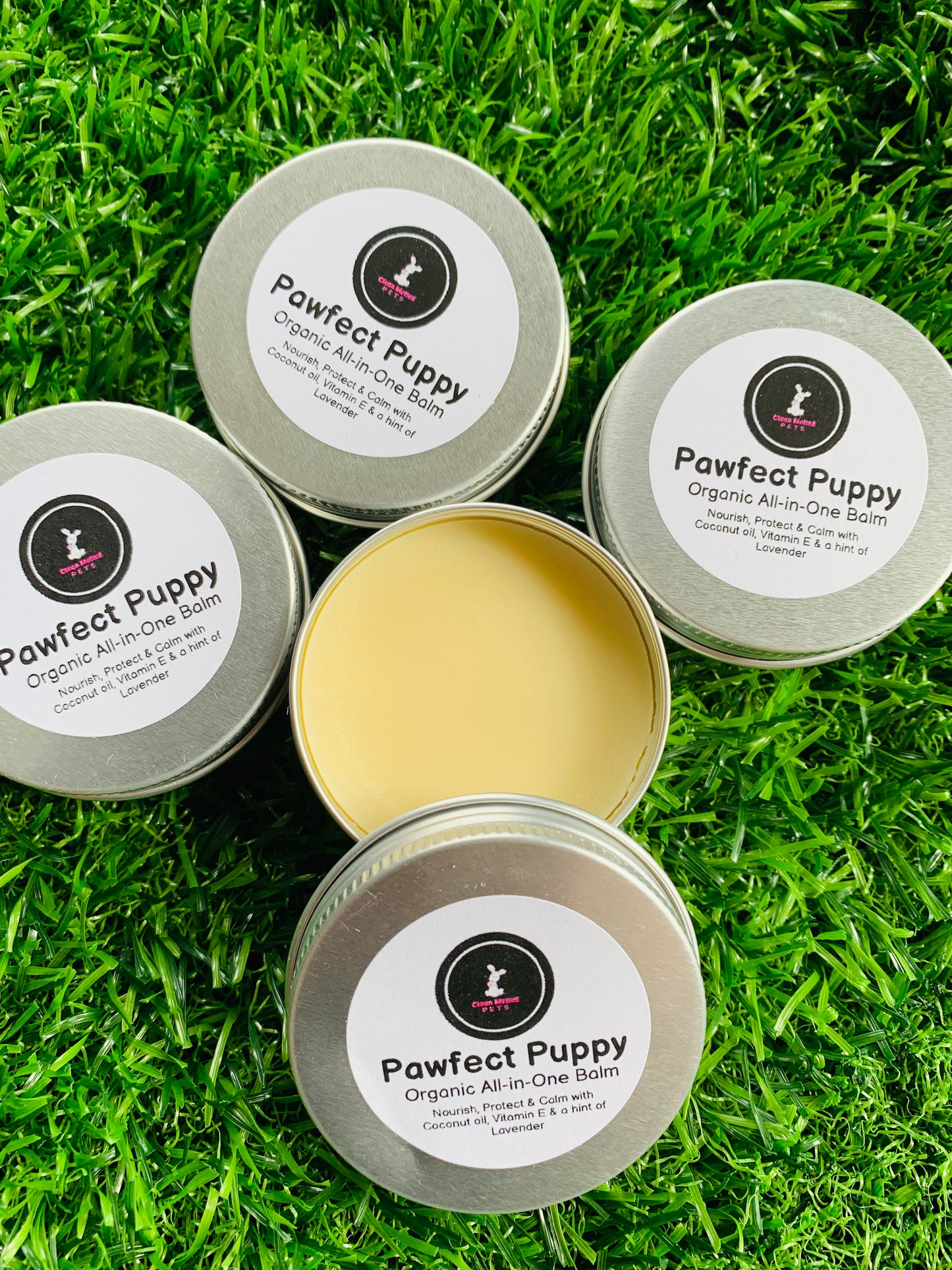 Natural All in One Puppy Balm